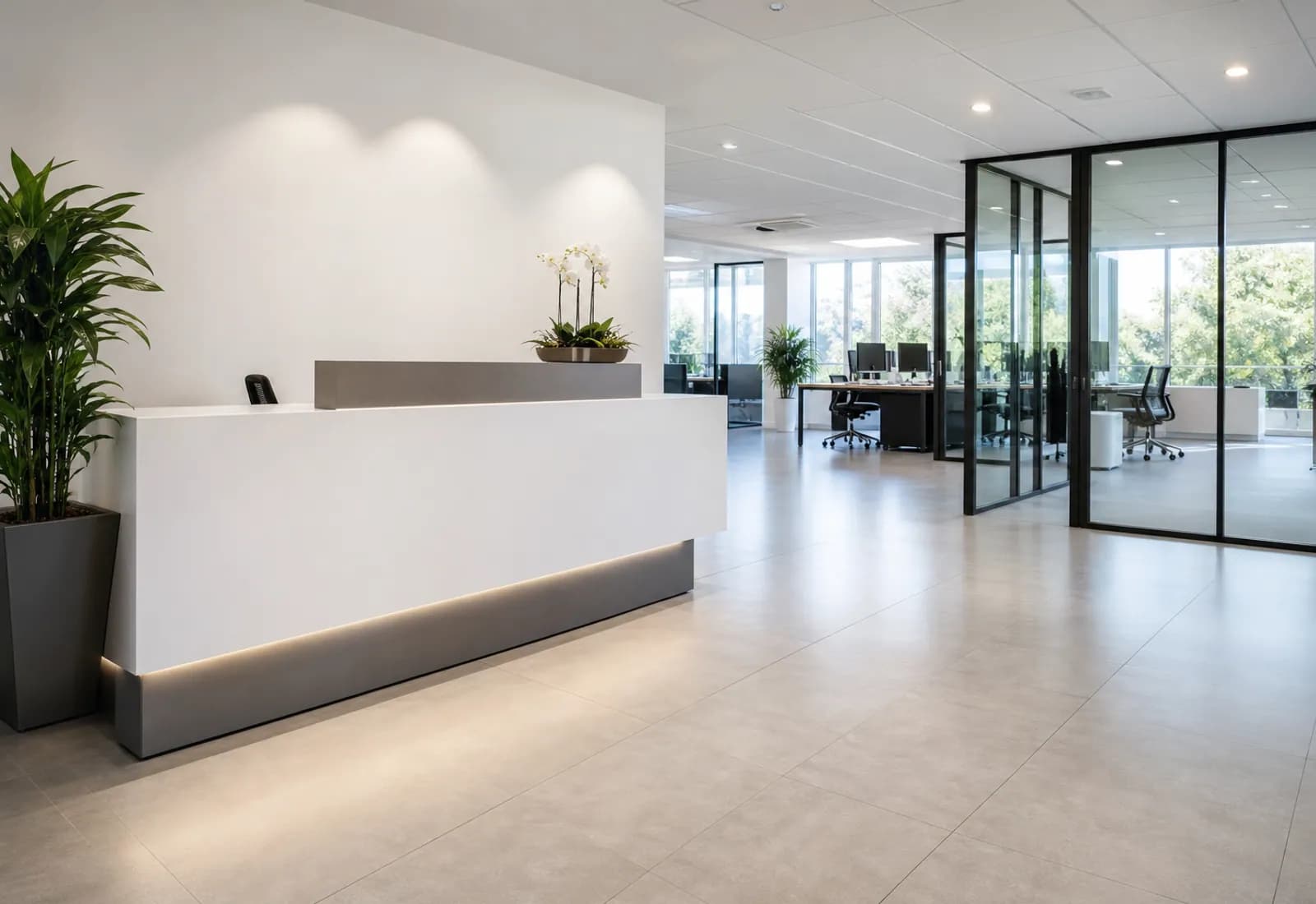 Polished reception and workspace in a modern commercial office.